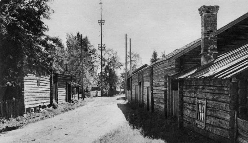 Fil:Bergkarlås .jpg